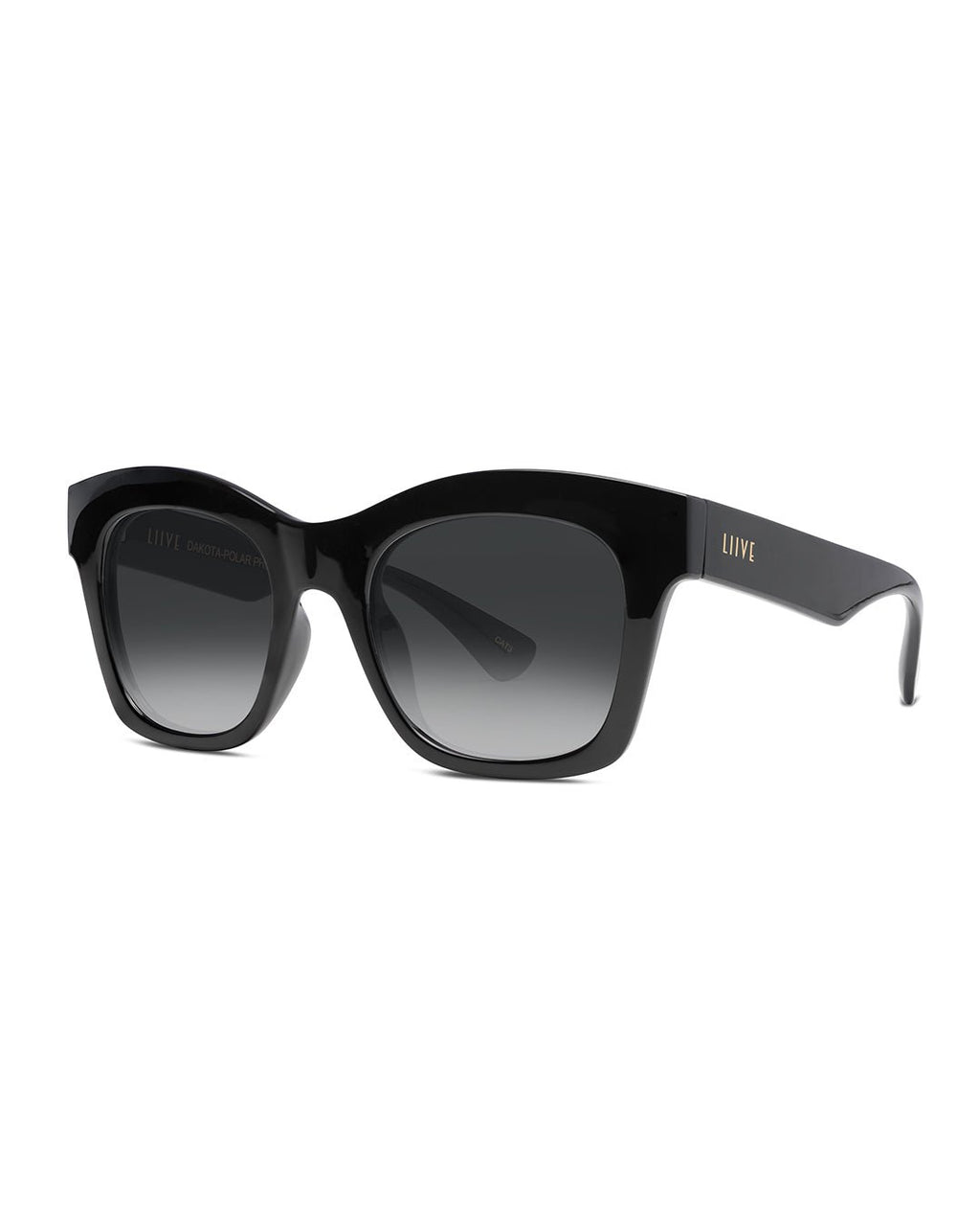 Dakota | Polarised Black | angle
