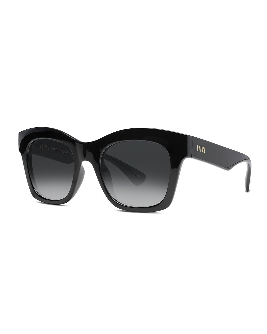 Dakota | Polarised Black | angle