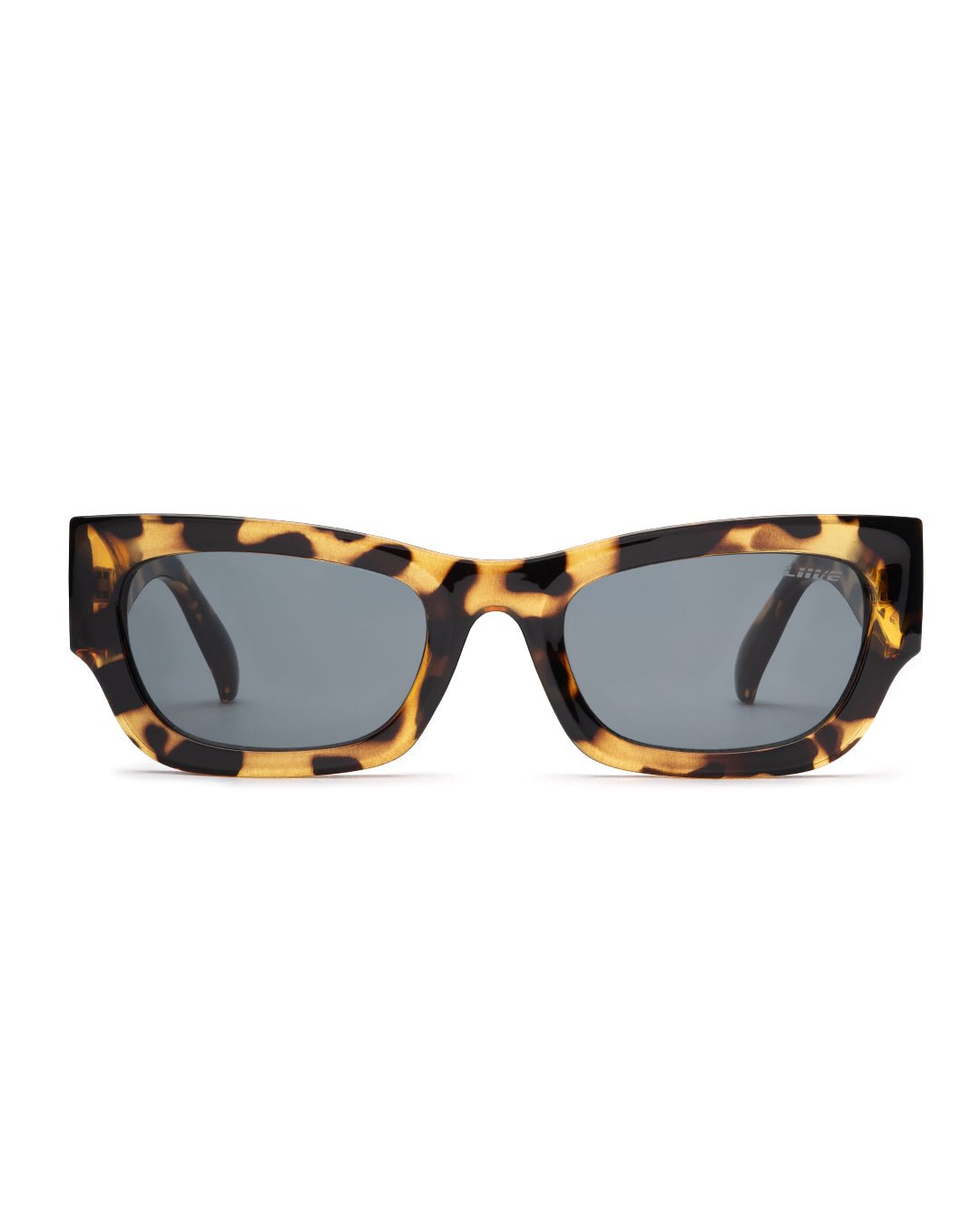 Legian | Polarised Tortoise | front