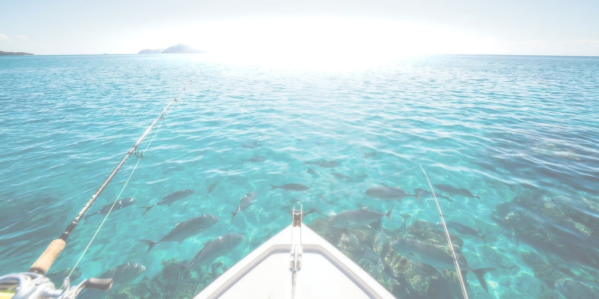 The same reef scene washed out by surface glare