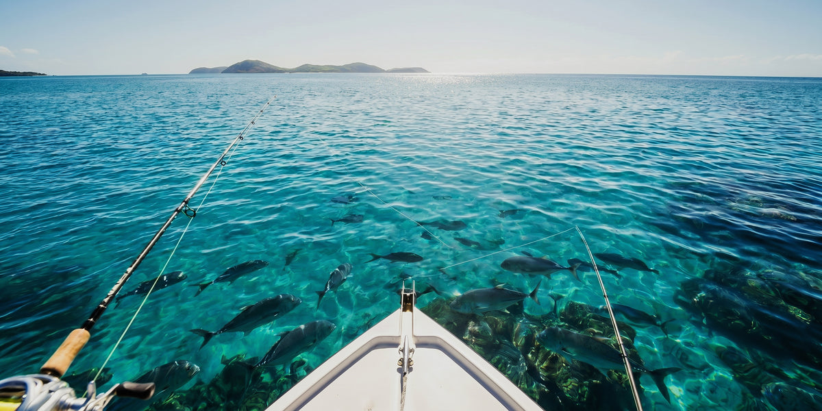 Reef from the bow, fish visible through the surface